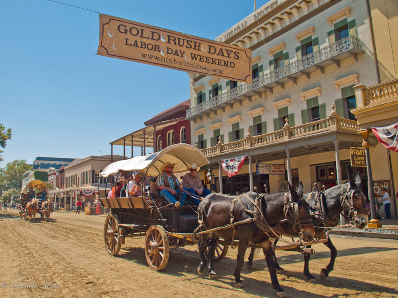 Weekend Picks Gold Rush Days in Sacramento and More