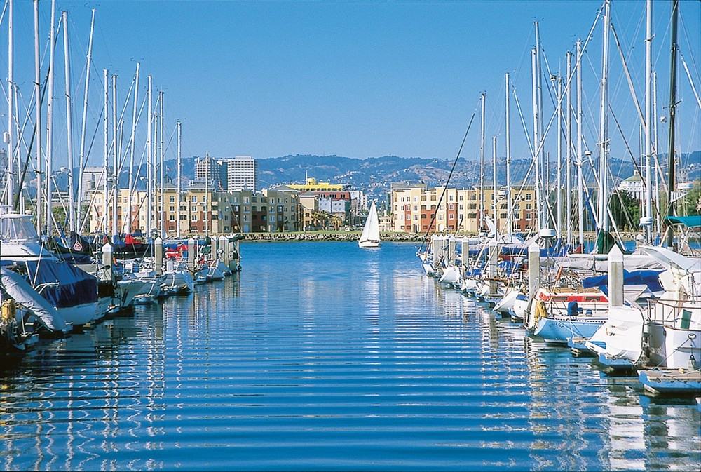 Sailboats in Oakland