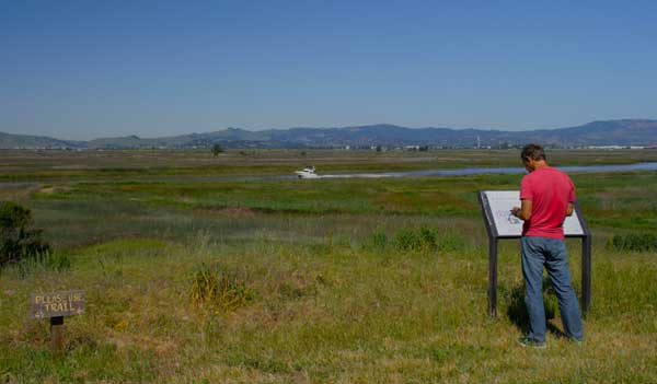 Hiking along the Marsh Trail at Rush Ranch.