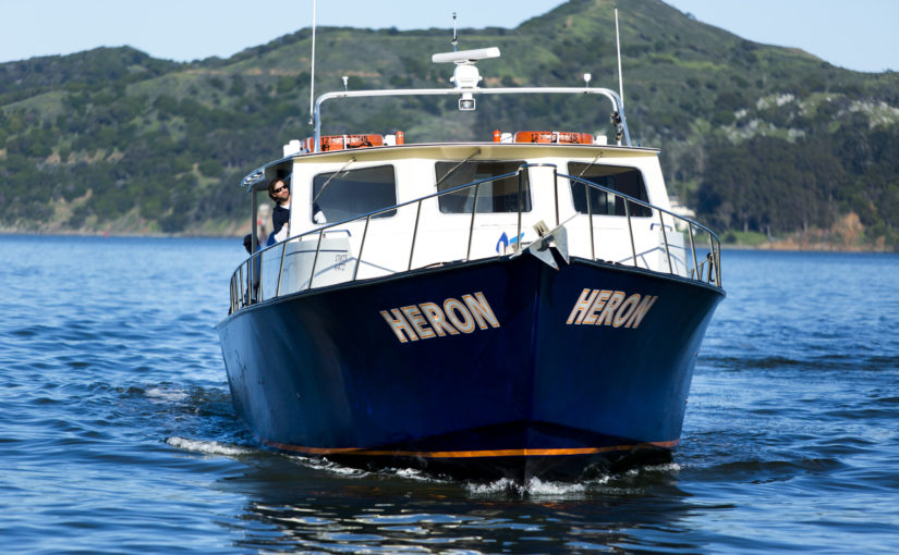 Tideline water shuttle