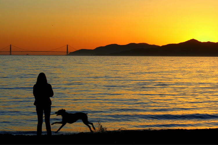 Connect with Nature Via the Capitol Corridor