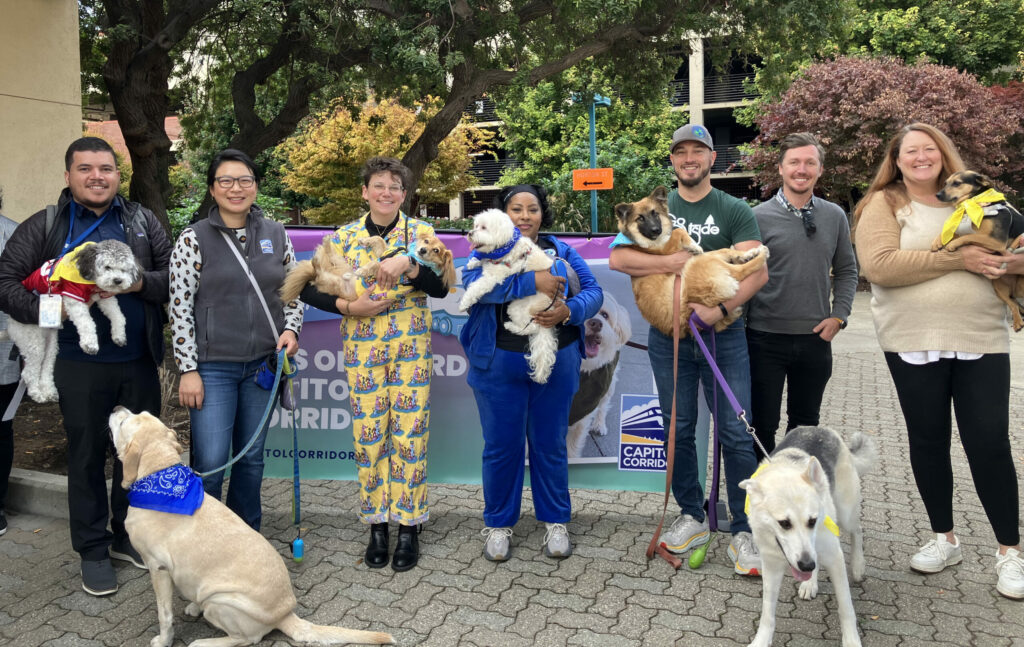 People standing with their dogs at train station