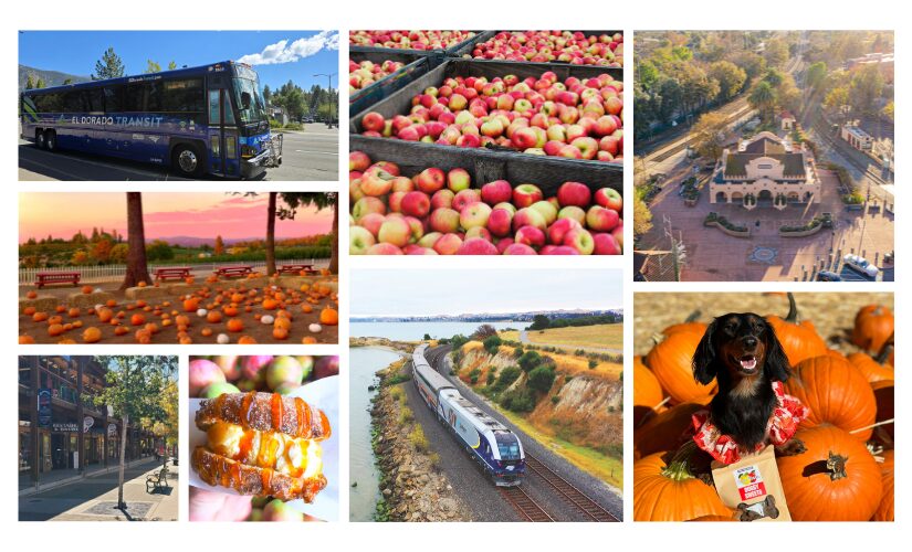 Fall Destinations and Things to Do 2025
