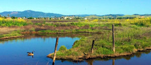 Suisun Fairfield