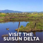 Visit-The-SuiSun-Delta