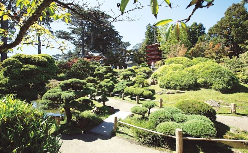 Golden Gate Park