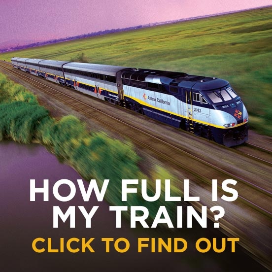 How Full is My Train?