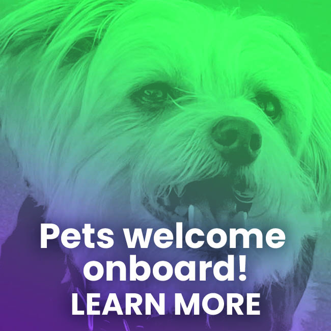 Pets welcome onboard!